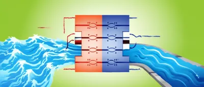 Illustration rectifies - Image 1