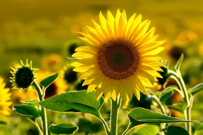 Illustration exceeded - Image 1