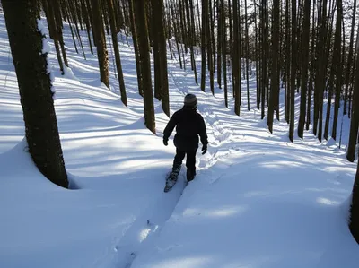 Illustration snowshoes - Image 1