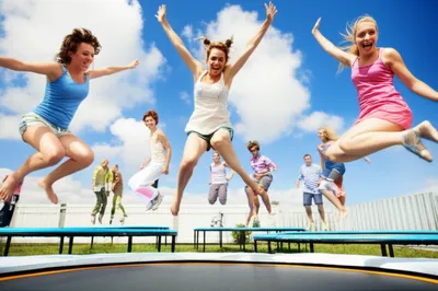 Illustration springers - Image 1