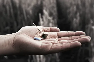 Illustration earn - Image 1