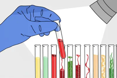 Illustration specimens - Image 1