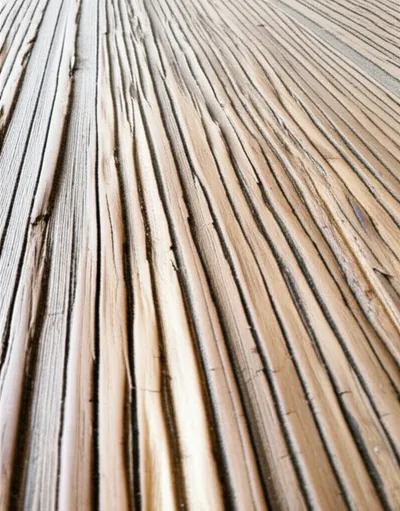 Illustration scratches - Image 2