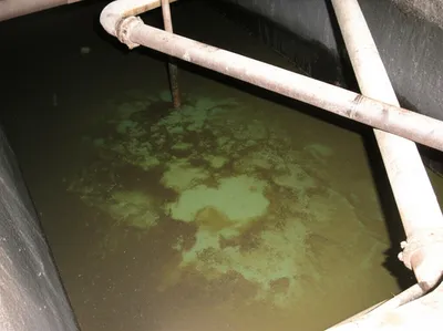 Illustration cesspool