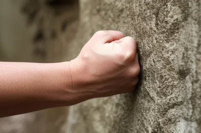 Illustration muscles - Image 1