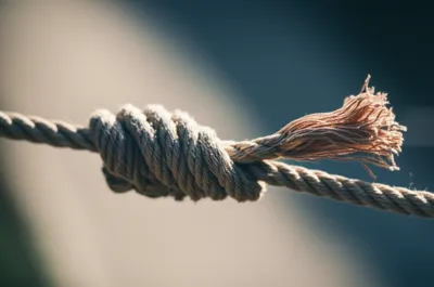 Illustration loosening - Image 1