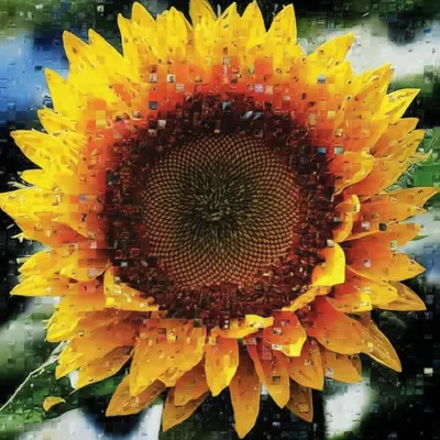 Illustration mosaic - Image 1