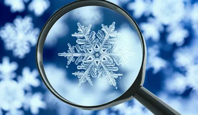 Illustration particularities - Image 1