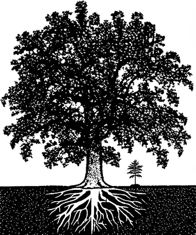 Illustration inherited - Image 1