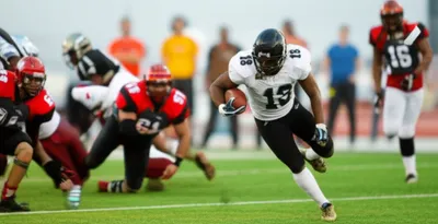 Illustration down - Image 1