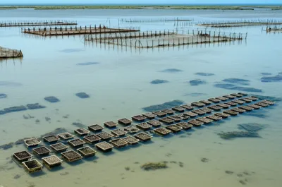 Illustration parks - Image 1