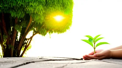 Illustration furthering - Image 1