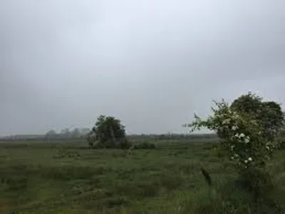 Illustration unsettled - Image 2