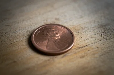 Illustration browns - Image 1