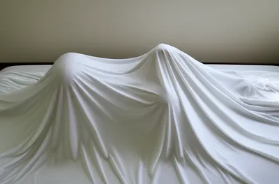 Illustration shroud - Image 1