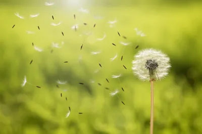 Illustration lightness - Image 1