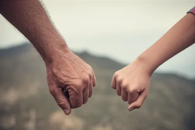 Illustration adhesion - Image 1