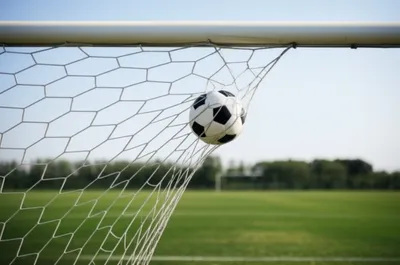 Illustration crossbars - Image 1