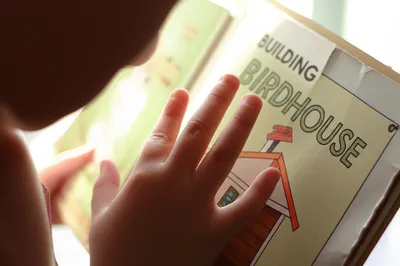 Illustration juveniles - Image 1