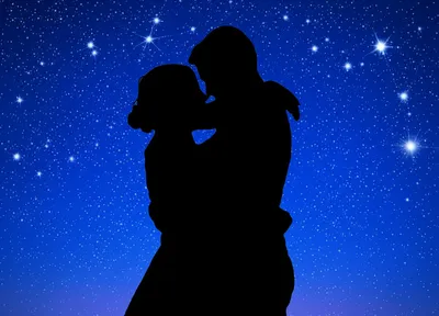 Illustration shags - Image 1