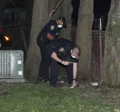 Illustration scout - Image 4