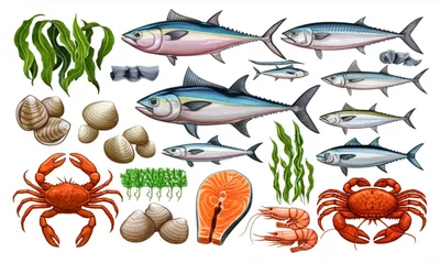 Illustration seafood