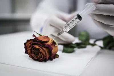 Illustration affections - Image 1