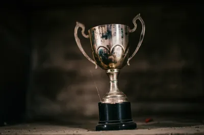 Illustration blemished - Image 1