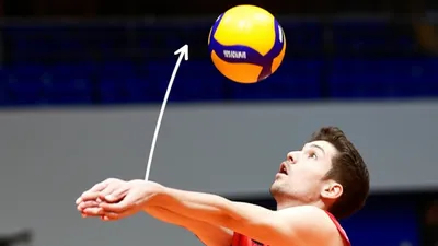 Illustration lob - Image 1