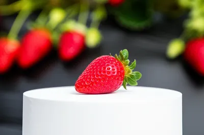 Illustration select - Image 1