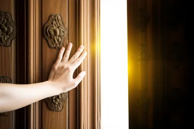 Illustration shuts - Image 1