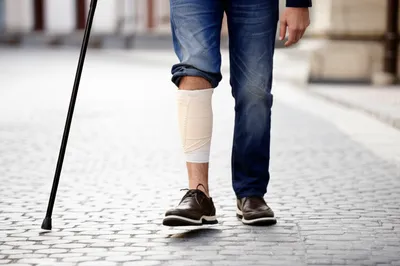 Illustration halted - Image 1