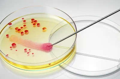 Illustration subcultures - Image 1