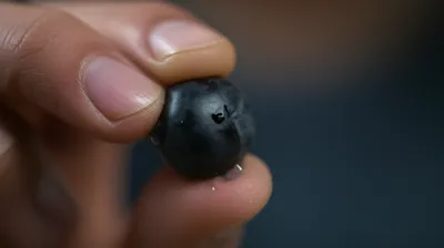 Illustration squidging