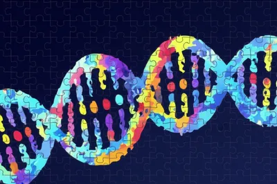 Illustration coverage - Image 1