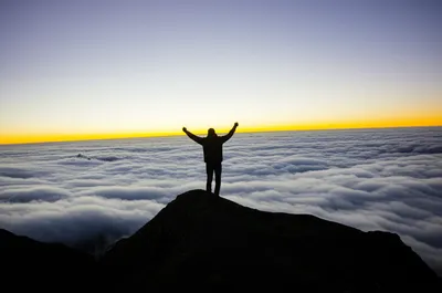 Illustration rarefied - Image 1