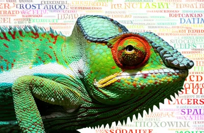 Illustration loads - Image 1