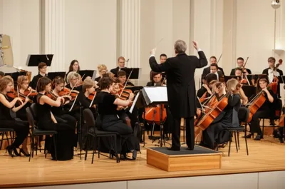 Illustration pieces - Image 1