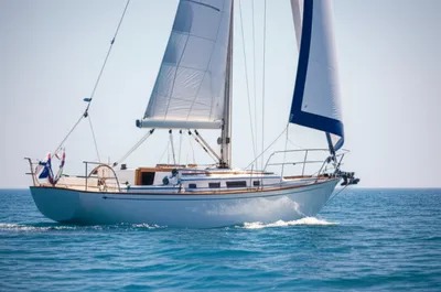 Illustration burgee - Image 1