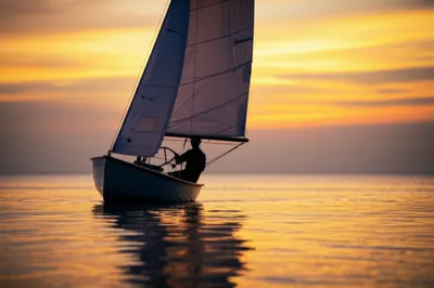 Illustration sailed - Image 1