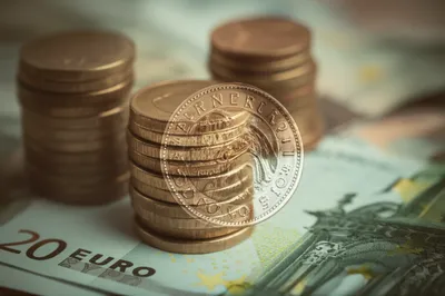 Illustration napoleon - Image 1