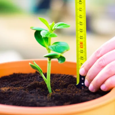 Illustration getting - Image 1