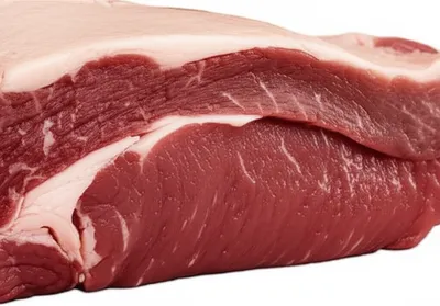 Illustration undercut - Image 1