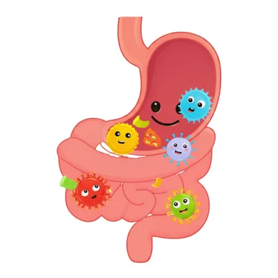Hình ảnh minh họa echovirus - Ảnh 1