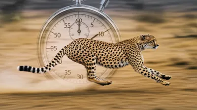 Illustration gun - Image 1