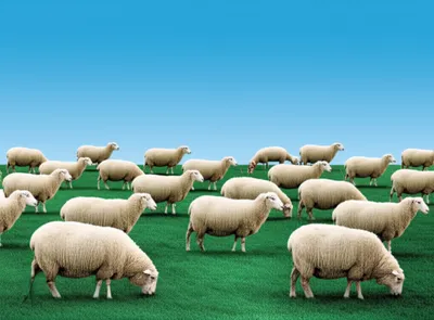 Illustration commonplaces