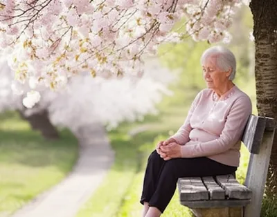 Illustration bide - Image 1