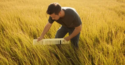 Illustration combing - Image 1