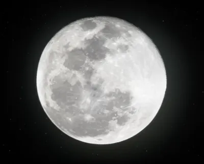 Illustration fulled - Image 1