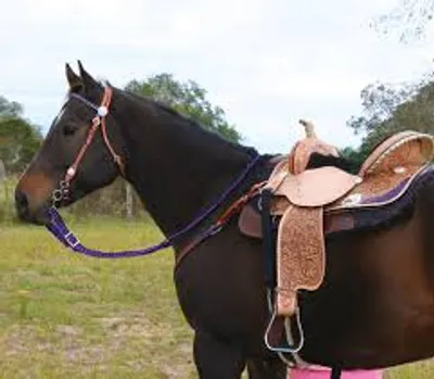 Illustration tack - Image 2